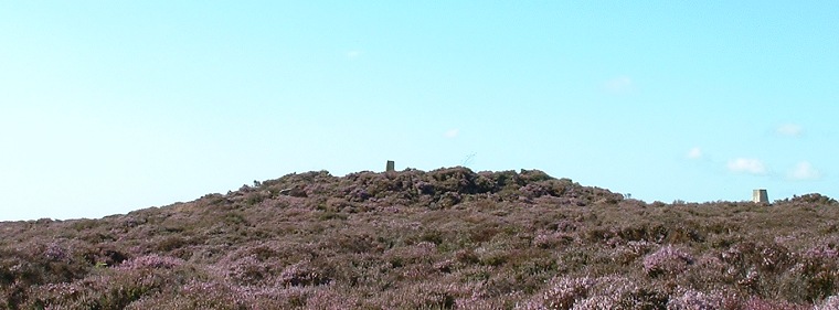 Louven Howe