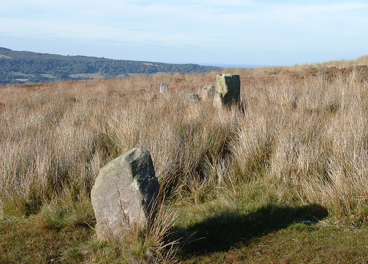 The Low Bridestones -  looking north over five of the stones