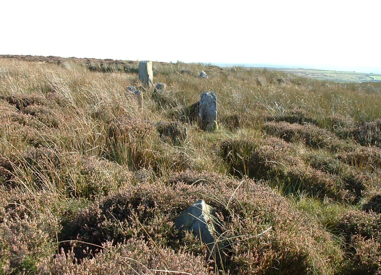 The Low Bridestones. View to the south with about six stones visible