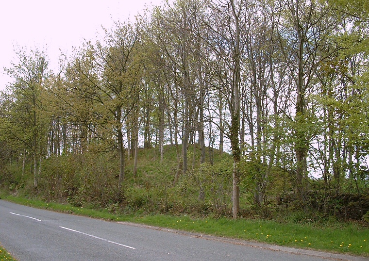 Low Moor Long Cairn