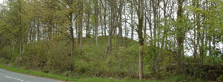 Low Moor Long Cairn