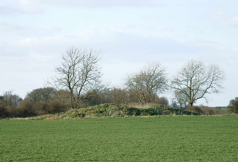 Ludford barrow - looking north