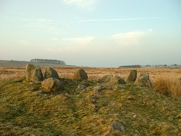 Ring or Kerb Cairn at NY49402196