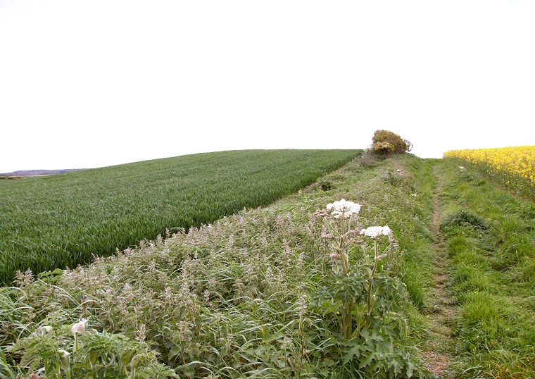 Metlow Hill Round Barrow looking south