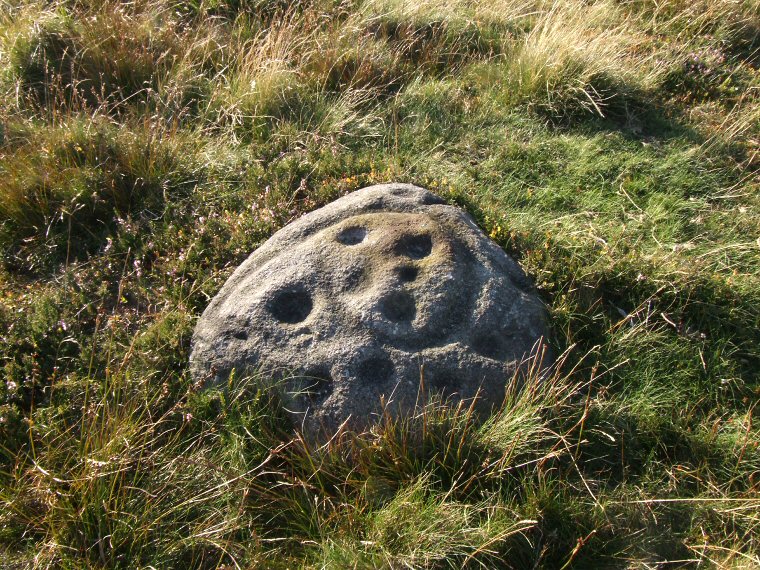 Middleton Moor PRAWR Stone 446