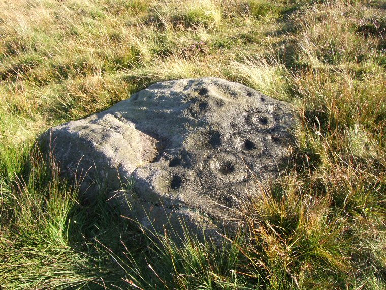 Middleton Moor PRAWR Stone 448