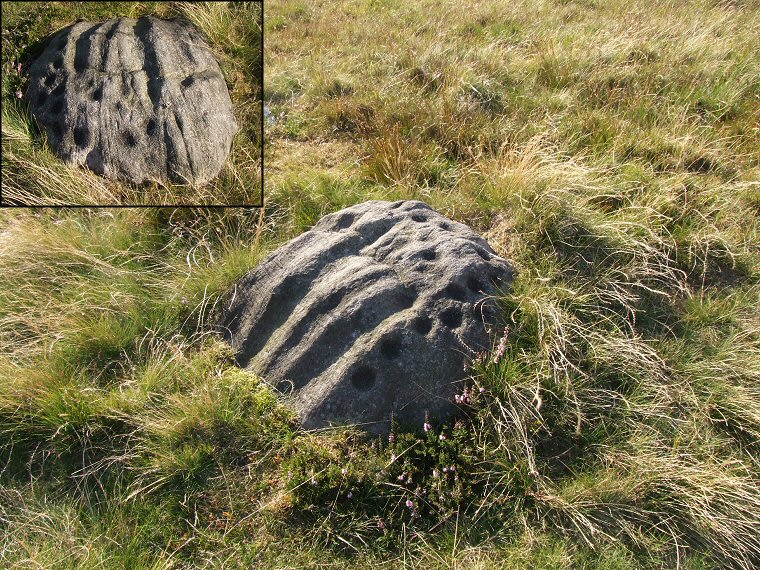 Middleton Moor PRAWR Stone 454