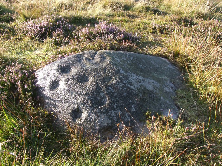Middleton Moor PRAWR Stone 445