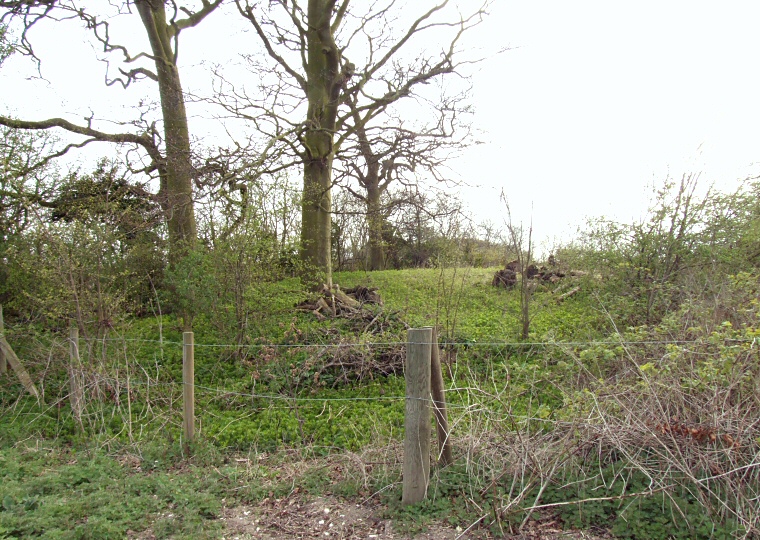 Mill Hill Barrow. Close view from the east.