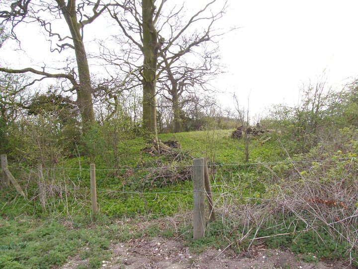 Mill Hill Barrow. Close view from the east.