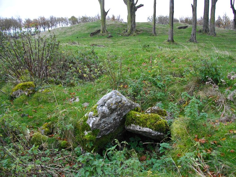 Cist in the Bronze Age barrow