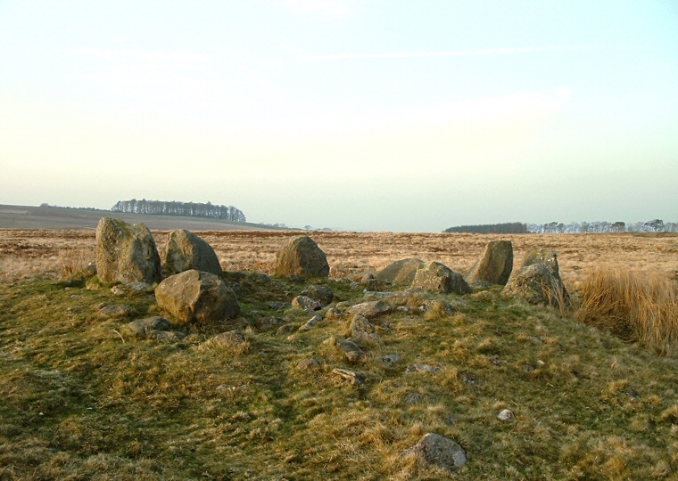 Ring or Kerb Cairn at NY49402196