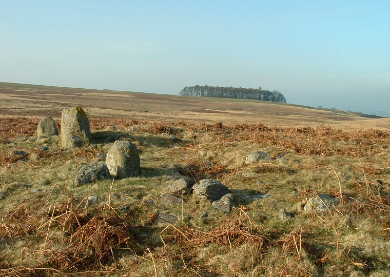 Ring Cairn at NY49302219