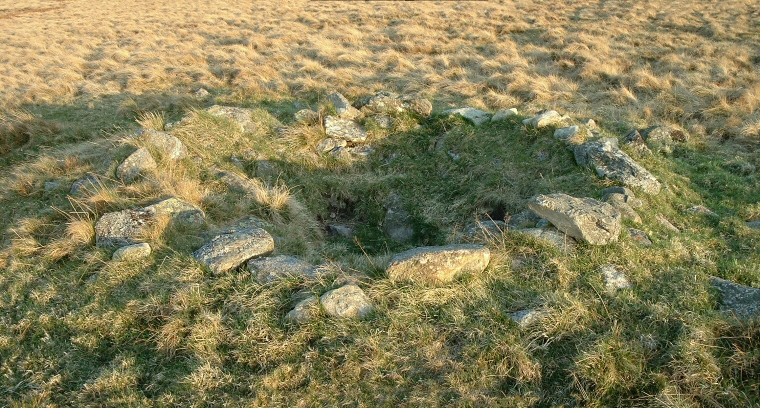 Cairn at NY483219