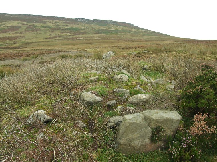 Looking southeast towards Stanage Edge