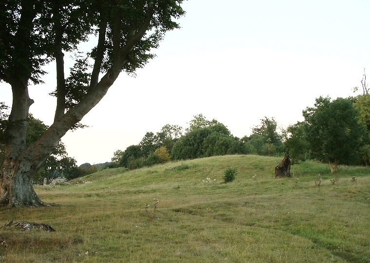 The southern end of the New King Barrows