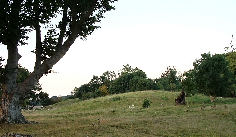 The southern end of the New King Barrows