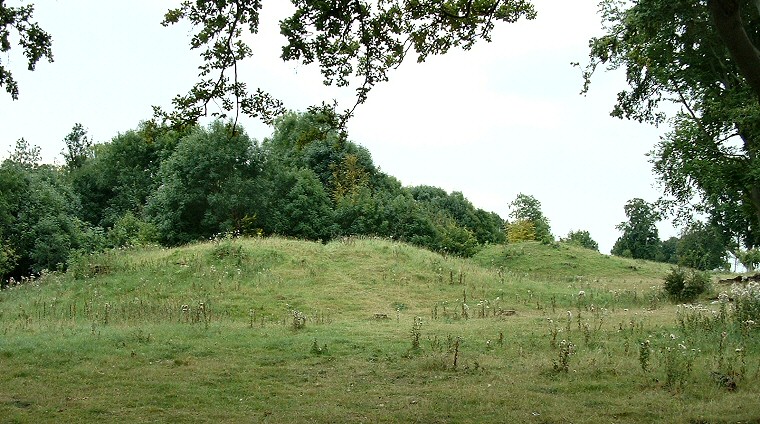 The northern end of the New King Barrows