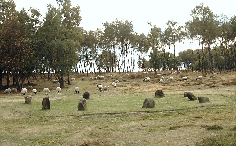 Nine Ladies Stone Circle