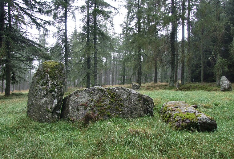 The Nine Stanes - front of the recumbent setting