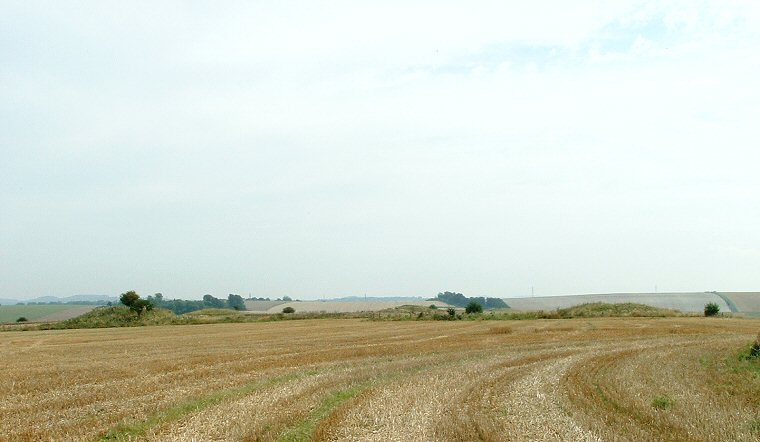 Normanton Down Barrow Cemetery