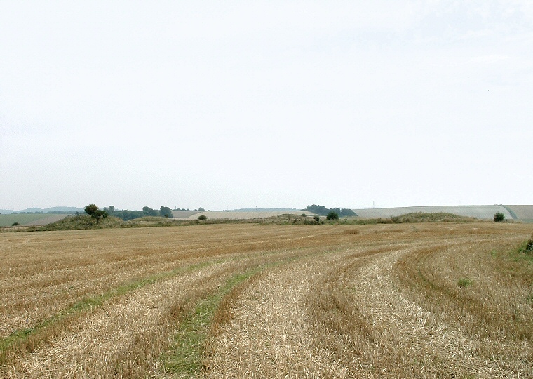 Normanton Down Barrow Cemetery