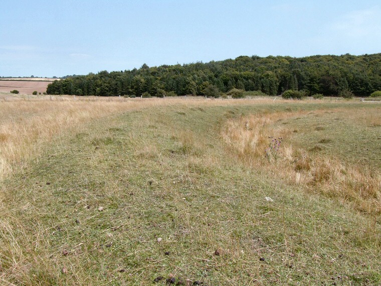 Oakley Down Barrow Cemetery - disc barrow