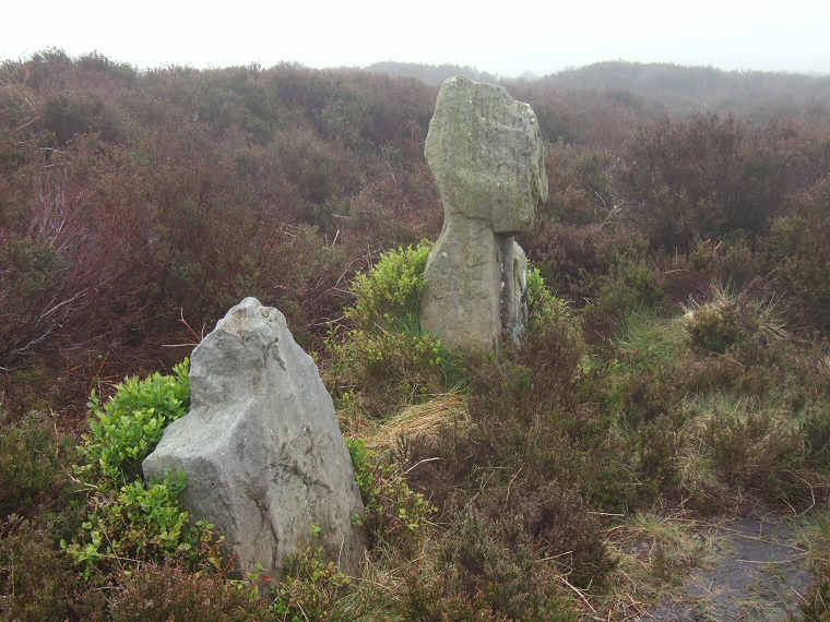 The Old Wife's Neck standing stone