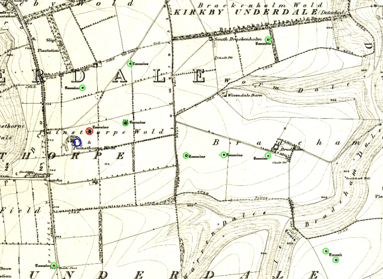 OS Map of Painsthorpe Wold from 1854