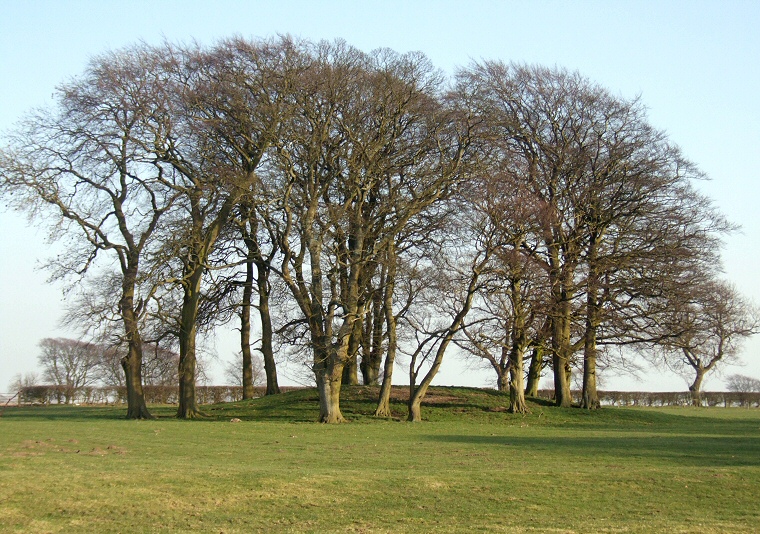 Barrow 201 looking southeast