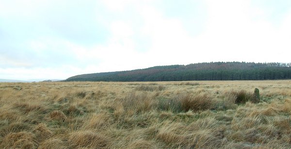 Parkgate Circle 2007