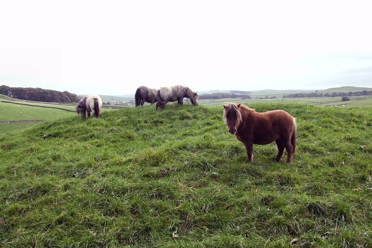 Perry Dale round barrow