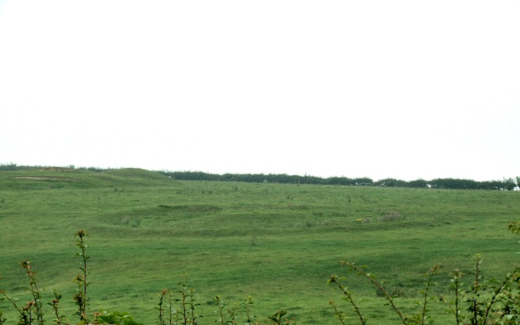 Poor Lot Barrow Cemetery - Disc Barrow to the northeast of the main group