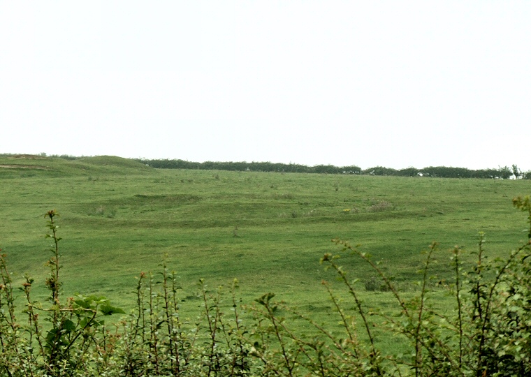 Poor Lot Barrow Cemetery - Disc Barrow to the northeast of the main group