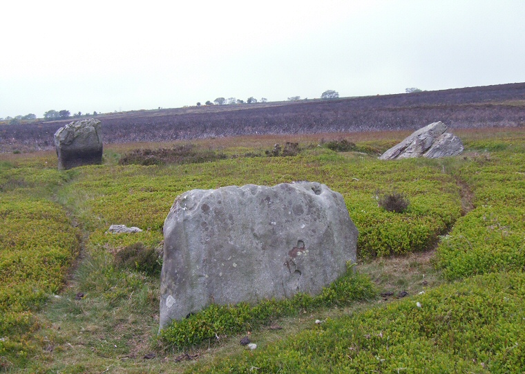 Looking west over the stones