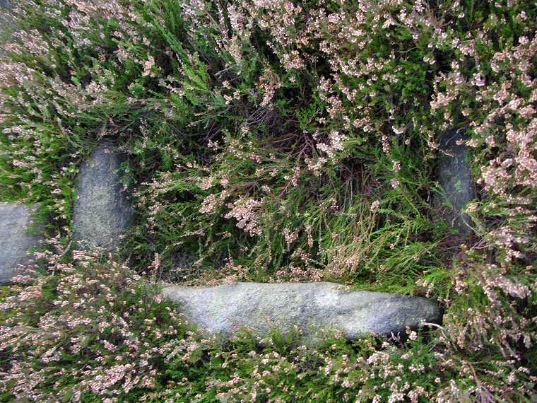 Cist to the south of Raven Tor