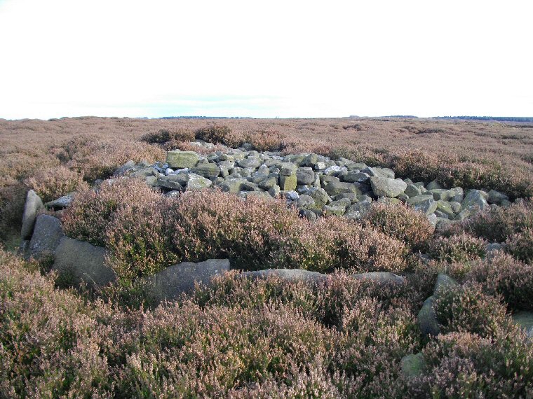 Raven Tor central cairn