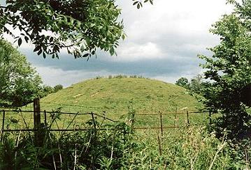 Revesby Barrows