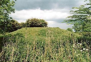 Revesby Barrows