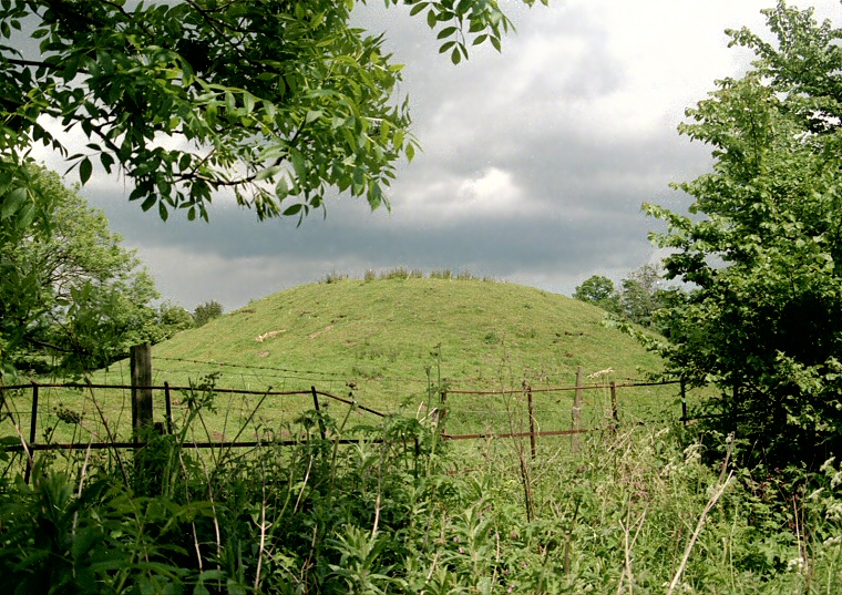 Revesby Barrows