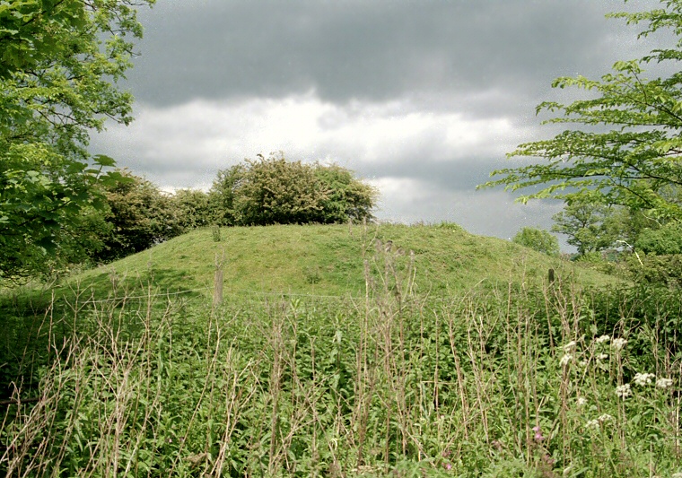 Revesby Barrows