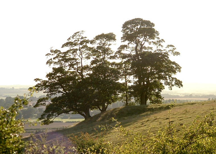 Ring Holt - looking southwest