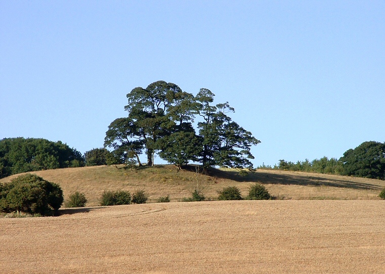 Ring Holt - looking east