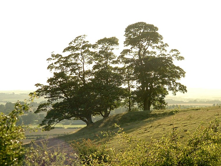 Ring Holt Round Barrow Dalby, Lincolnshire
