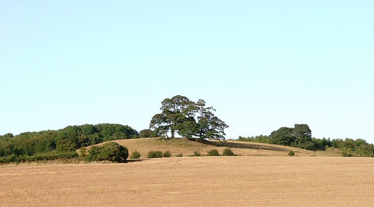 Ring Holt - looking east