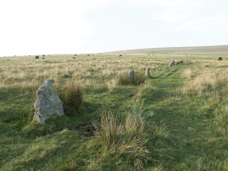 Ringmoor Down stone row looking north