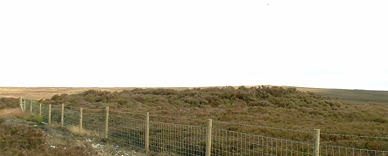 Looking southeast towards Foster Howes on the horizon