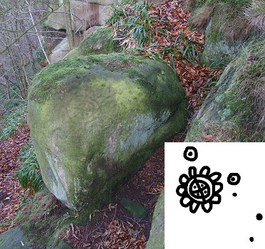 Rowtor Rocks rosette