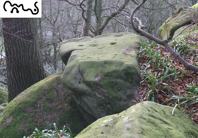 Rowtor Rocks serpent