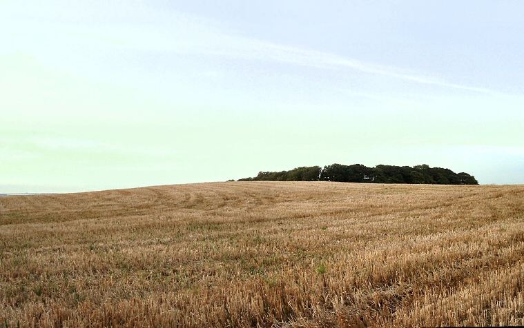 Round barrow on the summit of Rudston Beacon